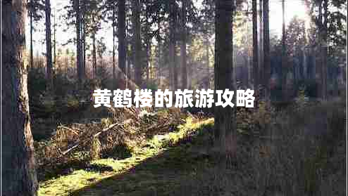 黃鶴樓的旅游攻略 黃鶴樓的旅游攻略