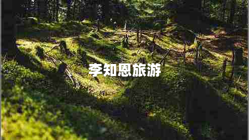 李知恩旅游 李知恩旅游