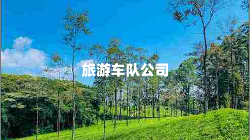 旅游車隊(duì)公司