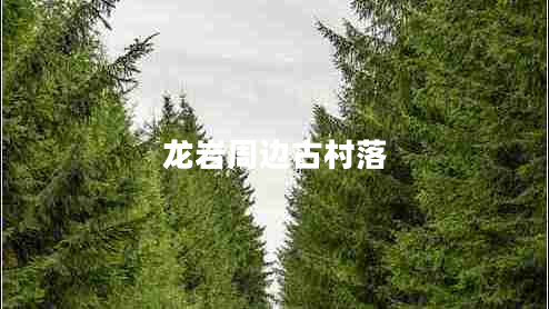 龍巖周邊古村落 龍巖周邊古村落