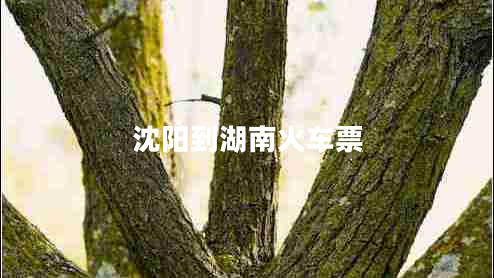 沈陽(yáng)到湖南火車票