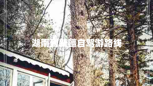 湖南到新疆自駕游路線 湖南到新疆自駕游路線