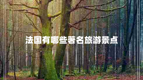 法國(guó)有哪些著名旅游景點(diǎn) 法國(guó)有哪些著名旅游景點(diǎn)