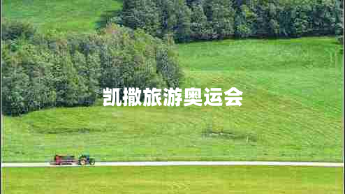 凱撒旅游奧運(yùn)會(huì) 凱撒旅游奧運(yùn)會(huì)