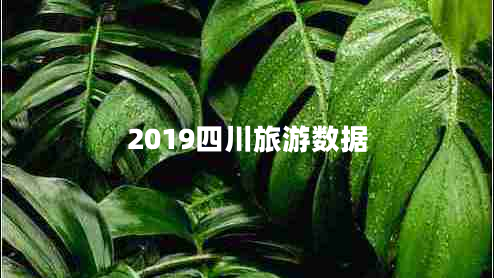 2019四川旅游數(shù)據(jù)