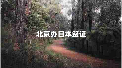 北京辦日本簽證 北京辦日本簽證