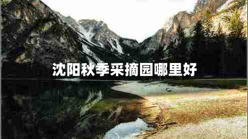 沈陽秋季采摘園哪里好 沈陽秋季采摘園哪里好