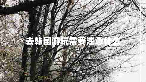 去韓國游玩需要注意什么