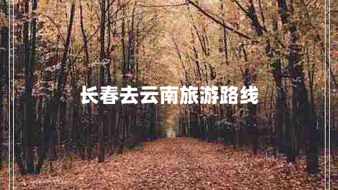 長(zhǎng)春去云南旅游路線 長(zhǎng)春去云南旅游路線