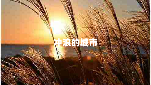 沖浪的城市 沖浪的城市