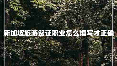 新加坡旅游簽證職業(yè)怎么填寫才正確 新加坡旅游簽證職業(yè)怎么填寫才正確