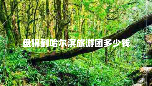 盤(pán)錦到哈爾濱旅游團(tuán)多少錢(qián) 盤(pán)錦到哈爾濱旅游團(tuán)多少錢(qián)