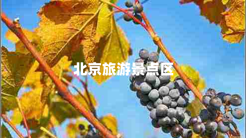 北京旅游景點(diǎn)區(qū)
