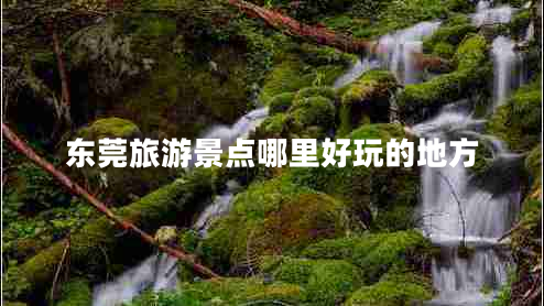 東莞旅游景點(diǎn)哪里好玩的地方