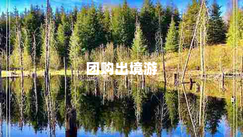 團(tuán)購出境游