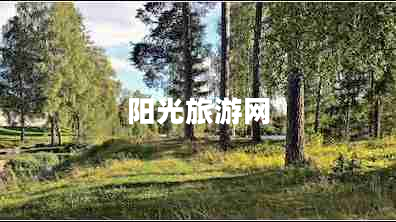 陽光旅游網 陽光旅游網