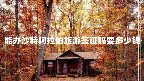 能辦沙特阿拉伯旅游簽證嗎要多少錢 能辦沙特阿拉伯旅游簽證嗎要多少錢