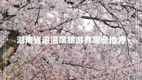 湖南省泡溫泉旅游有哪些地方