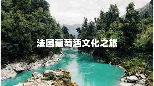 法國葡萄酒文化之旅