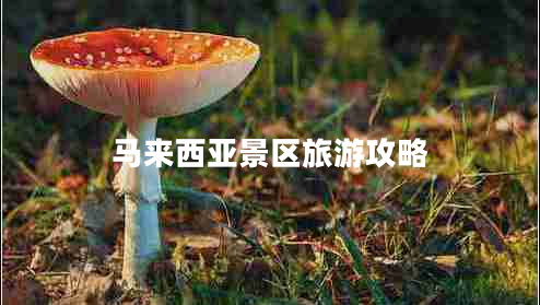 馬來西亞景區(qū)旅游攻略 馬來西亞景區(qū)旅游攻略