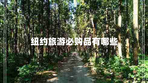 紐約旅游必購品有哪些 紐約旅游必購品有哪些