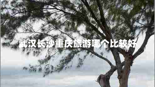 武漢長(zhǎng)沙重慶旅游哪個(gè)比較好 武漢長(zhǎng)沙重慶旅游哪個(gè)比較好