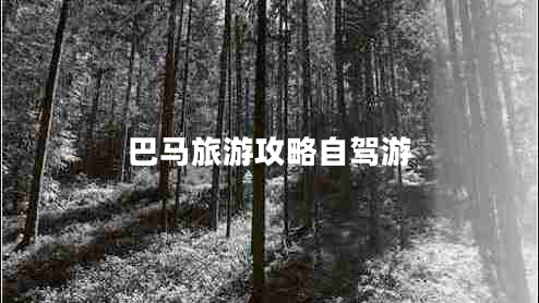 巴馬旅游攻略自駕游