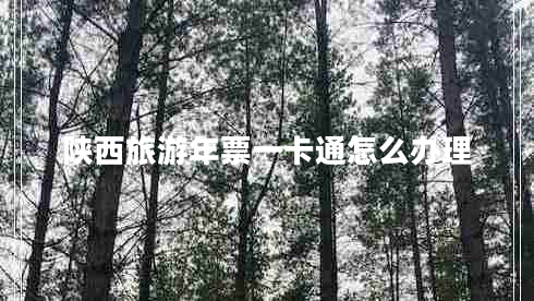 陜西旅游年票一卡通怎么辦理 陜西旅游年票一卡通怎么辦理