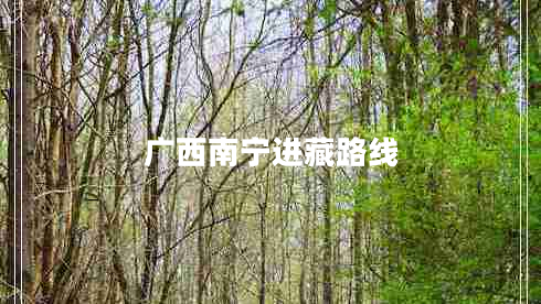 廣西南寧進藏路線 廣西南寧進藏路線