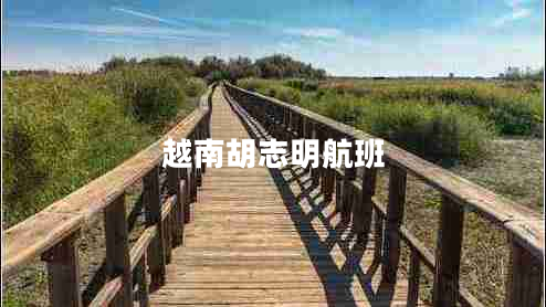 越南胡志明航班