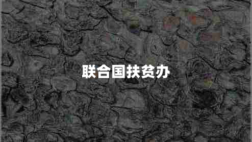 聯(lián)合國扶貧辦