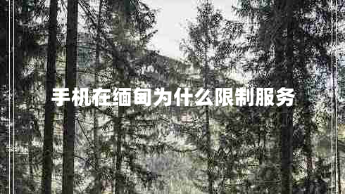 手機(jī)在緬甸為什么限制服務(wù) 手機(jī)在緬甸為什么限制服務(wù)