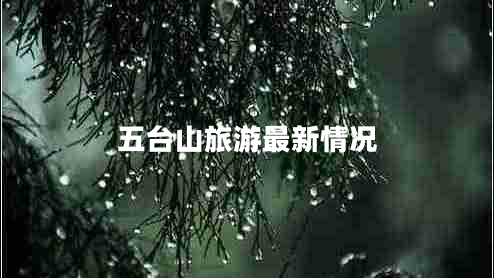 五臺山旅游最新情況 五臺山旅游最新情況