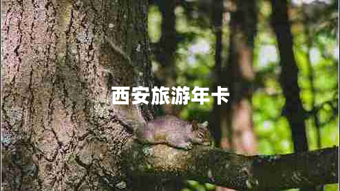 西安旅游年卡 西安旅游年卡