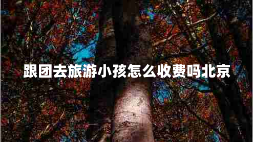 跟團去旅游小孩怎么收費嗎北京