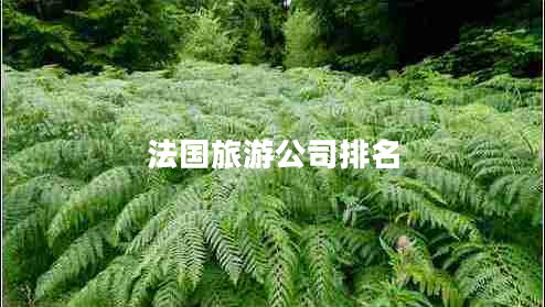 法國旅游公司排名