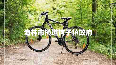 海林市橫道河子鎮(zhèn)政府 海林市橫道河子鎮(zhèn)政府