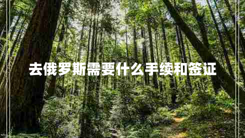 去俄羅斯需要什么手續(xù)和簽證 去俄羅斯需要什么手續(xù)和簽證