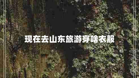 現(xiàn)在去山東旅游穿啥衣服 現(xiàn)在去山東旅游穿啥衣服