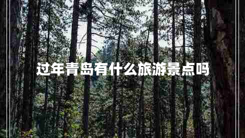 過年青島有什么旅游景點嗎 過年青島有什么旅游景點嗎