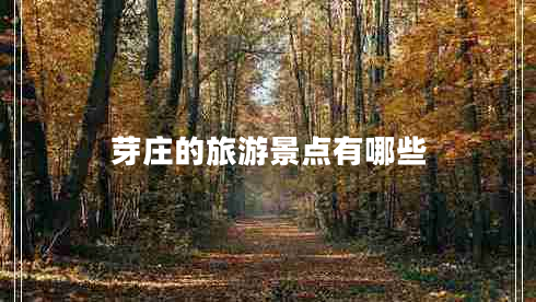 芽莊的旅游景點(diǎn)有哪些 芽莊的旅游景點(diǎn)有哪些