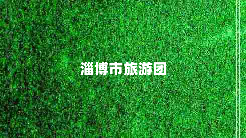 淄博市旅游團(tuán)