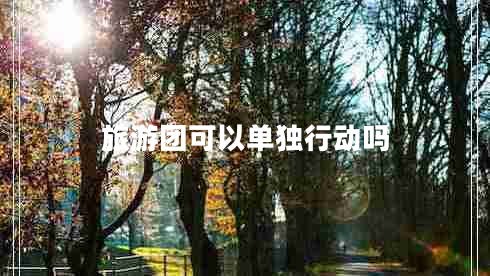 旅游團(tuán)可以單獨(dú)行動(dòng)嗎