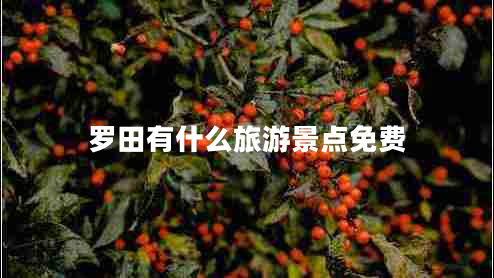 羅田有什么旅游景點免費 羅田有什么旅游景點免費