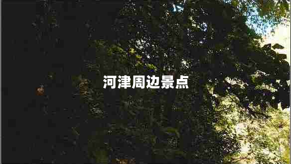 河津周邊景點(diǎn) 河津周邊景點(diǎn)