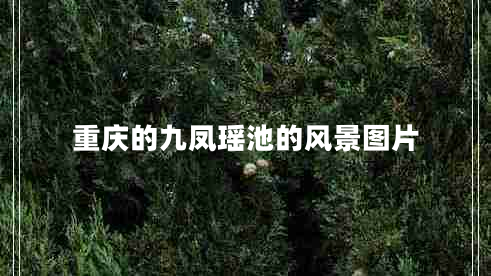 重慶的九鳳瑤池的風(fēng)景圖片 重慶的九鳳瑤池的風(fēng)景圖片