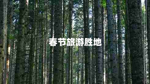 春節(jié)旅游勝地 春節(jié)旅游勝地