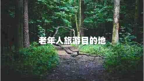 老年人旅游目的地