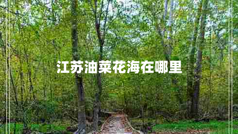 江蘇油菜花海在哪里 江蘇油菜花海在哪里