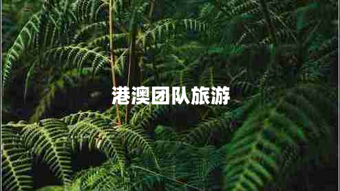 港澳團隊旅游 港澳團隊旅游